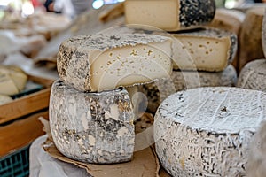 Artisanal cheeses on display at local market