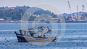Fishing boat surrounded by seabirds in Guanabara Bay, Rio de Janeiro, Brazil photo