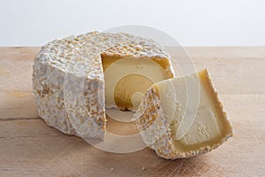 Artisanal goat cheese