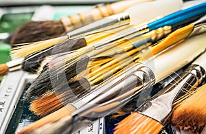 Artist Paint Brushes