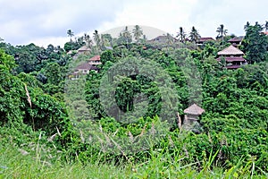 Artist path in Ubud, Bali, Indonesia