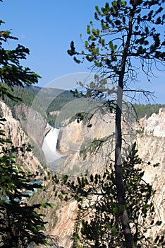 Artist point in Yellowstone National Park