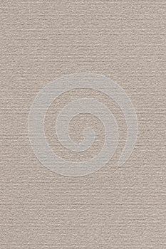 Artist's Coarse Grain Pastel Paper Beige Texture Sample