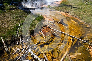 Artist`s Paint Pots and Blood Geyser hot spring in summer, Yellowstone National Park Wyoming