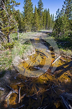 Artist`s Paint Pots and Blood Geyser in summer, Yellowstone National Park Wyoming