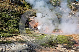 Artist`s Paint Pots and Blood Geyser in summer, Yellowstone National Park Wyoming