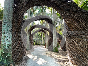 Artistic abstract arches made out of twigs in a tropical botanical garden