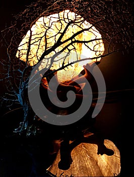 Artistic abstract photography. dry tree, seashell and light.