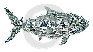 Artistic depiction of a shark made from a montage of smaller fish in a watercolor effect