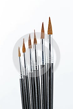 Artistic fine art brushes
