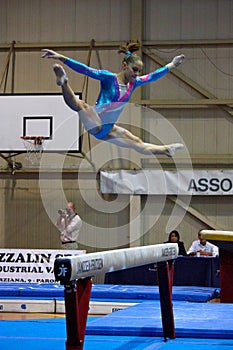 Artistic Gymnastics International Competition