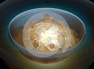 Artistic image. A bowl filled with glowing crystals