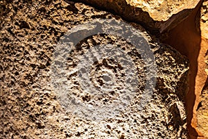 Artistic manifestation engraved in the stone in the megalithic monument of El dolmen de Soto