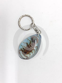 Artistic Modern Key Chain for Accessories in White Isolated Background