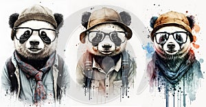 artistic modern watercolor style portraits of cool hipster pandas, wearing a jacket, glasses and hat, isolated on white background
