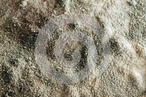 Artistic mold background