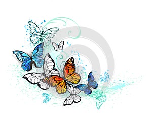 Artistic Morpho and monarchs