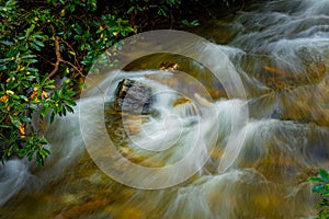 Artistic pattern is created by blurry water in stream in Pisgah Forest