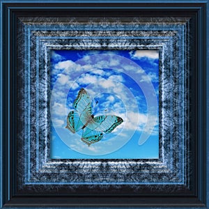 Artistic pictture with blue butterfly in blue gray frame withs sky