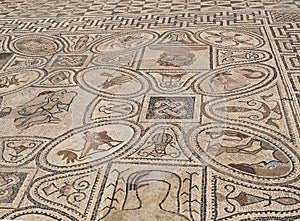 Artistic Roman Mosaics in Volubilis, Morocco