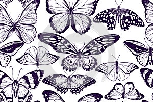 Artistic seamless pattern with morpho menelaus, morpho rhetenor cacica, cethosia biblis, papilio antimachus, alcides