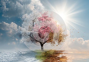 Four Seasons Tree: A Symbolic Representation of Time, Change, and Nature
