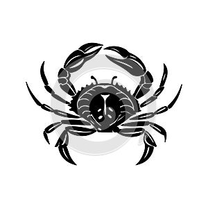 Vector illustration of a crab, showcasing detailed design elements photo