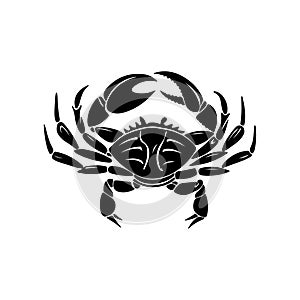 Vector illustration of a crab, showcasing detailed design elements photo