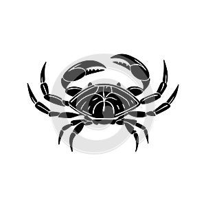 Vector illustration of a crab, showcasing detailed design elements photo