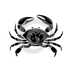 Vector illustration of a crab, showcasing detailed design elements photo