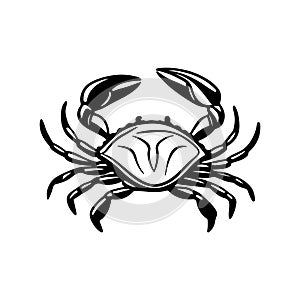 Vector illustration of a crab, showcasing detailed design elements photo