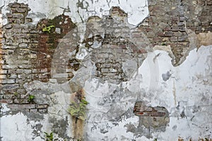 Artistic vintage grunge wall background