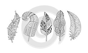 Artistically drawn feathers set, black and white vintage, tribal, stylized feathers, pattern for coloring page vector