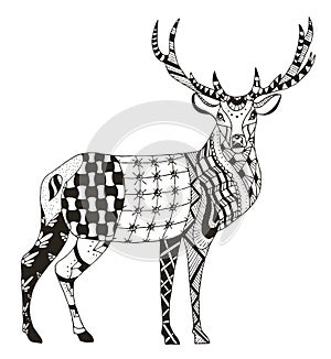 Artistically hand drawn, zentangle stylized deer vector, illustration, pattern, freehand pencil, lace