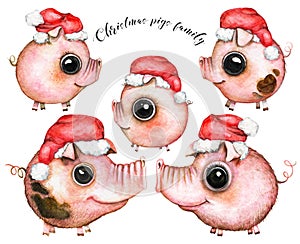 Ð¡artoon pigs family in Christmas caps