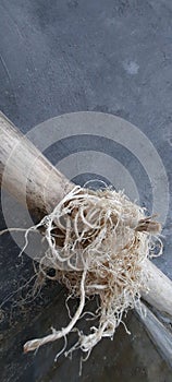 Artpiece on th beach