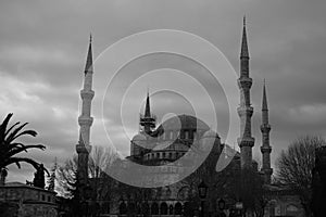 Arts and architectures in  Istanbul Turkey