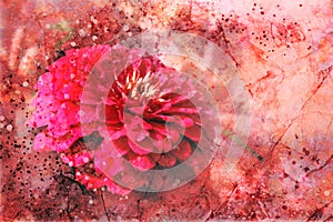 Artsy flower background illustration with paint spatter and vintage grunge texture design, red and pink color zinnia flower