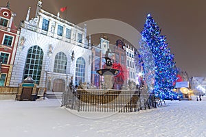 Artus Court in winter scenery with christmas tree
