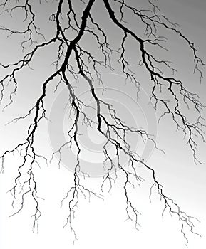 Silhouettes of long individual twigs