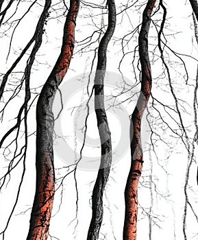 Silhouettes of long individual twigs