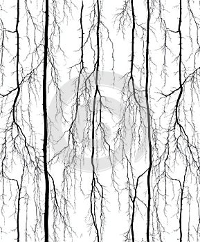 Silhouettes of long individual twigs