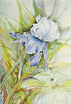 Artwork with iris