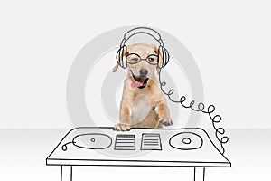 Artwork. One cute breed dog in image of disco dj isolated on white studio background with drawings. Mix photo and