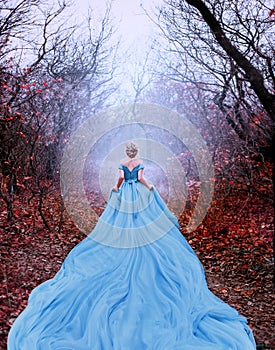 Artwork photo Beautiful silhouette woman princess Cinderella in autumn foggy mystic forest tree. Luxury magnificent