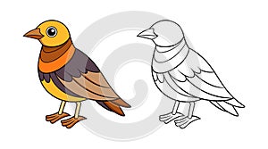 Bright Cape Longclaw Bird Artwork