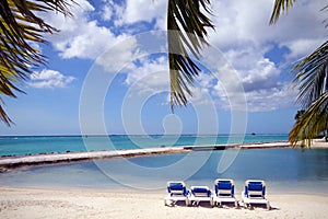 Aruba Beach Caribbean II photo