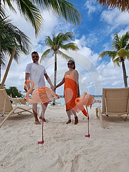 Aruba beach with pink flamingos at the beach, flamingo at the beach in Aruba Island Caribbean