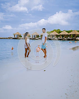 Aruba beach with pink flamingos at the beach, flamingo at the beach in Aruba Island Caribbean