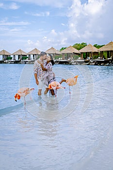 Aruba beach with pink flamingos at the beach, flamingo at the beach in Aruba Island Caribbean